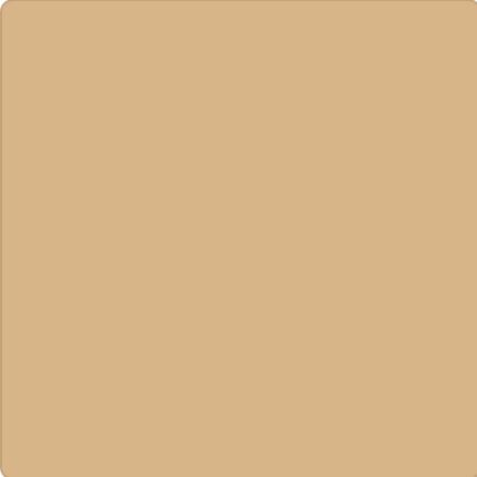 Warm Taupe #D2B48C