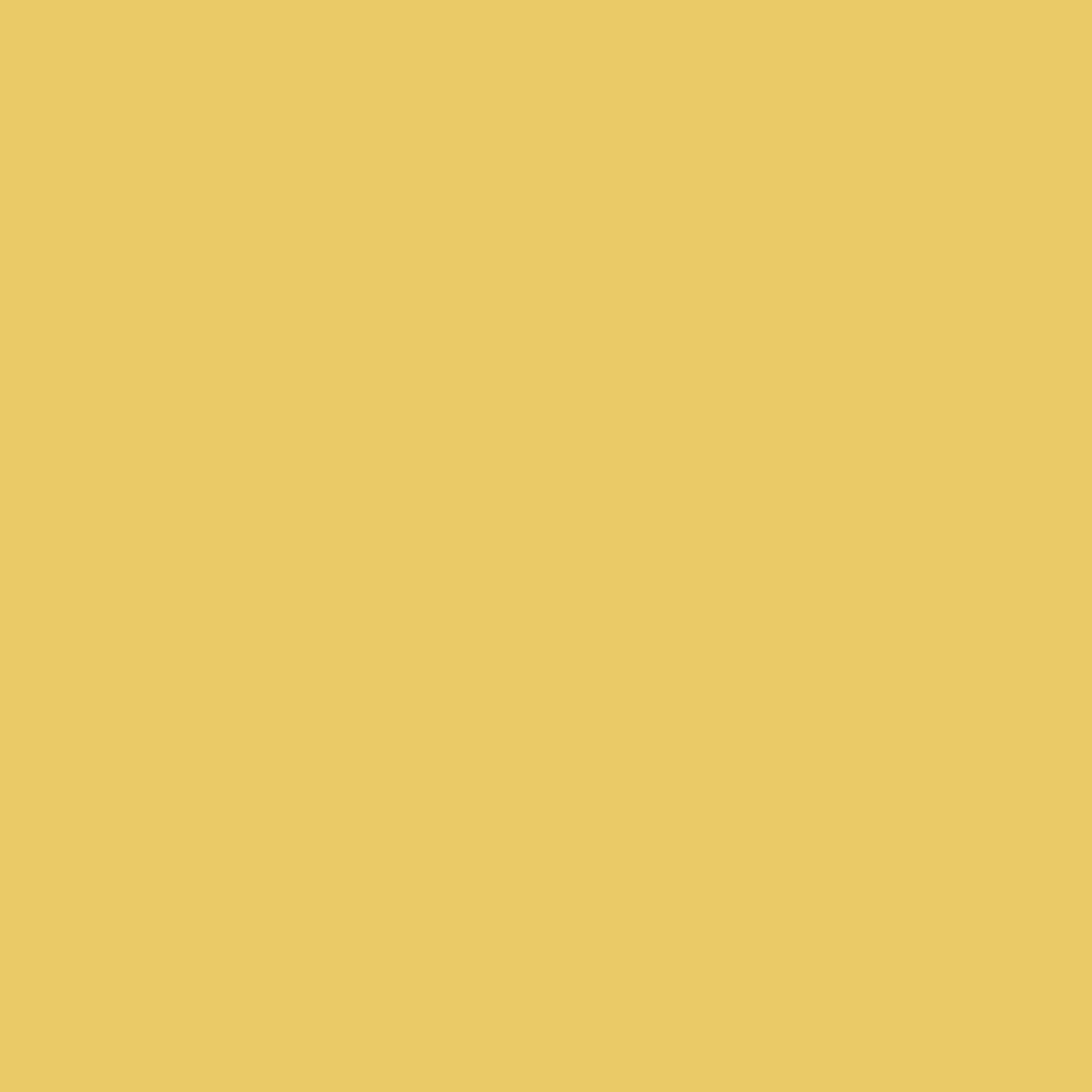 Golden Sand #EAC963