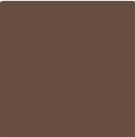 Deep Umber #635147